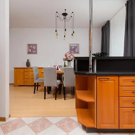 Apartment Duplex Near The Airport By Renters *
