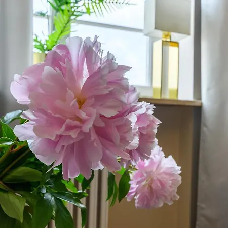 Movo Old Town Appartement Varsovie