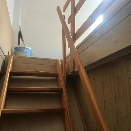 Dandelion Homestay Warsaw