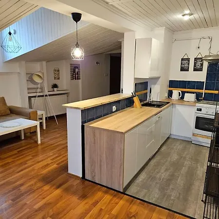 Apartment Przestronny Z Szybkim Wifi