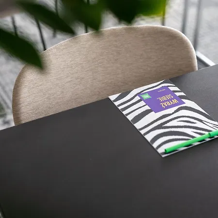 Ibis Styles Airport Hotel Warschau