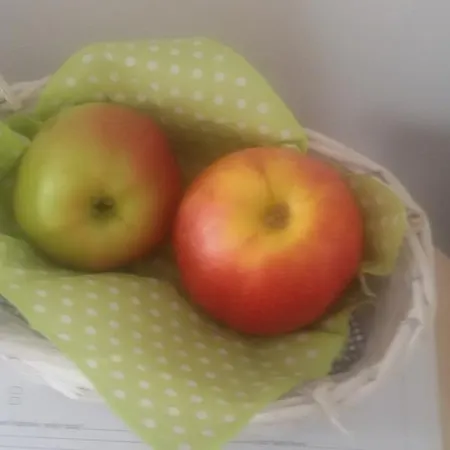Apple Homestay *