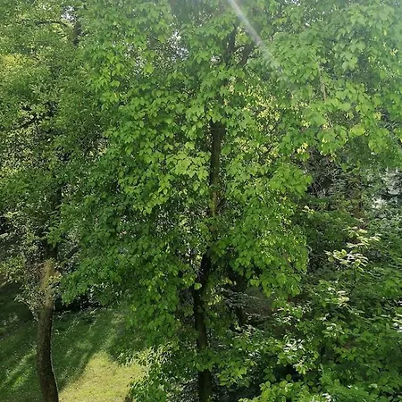Sunny And Lovely Apartment. Near Chopin Airport! דירה *