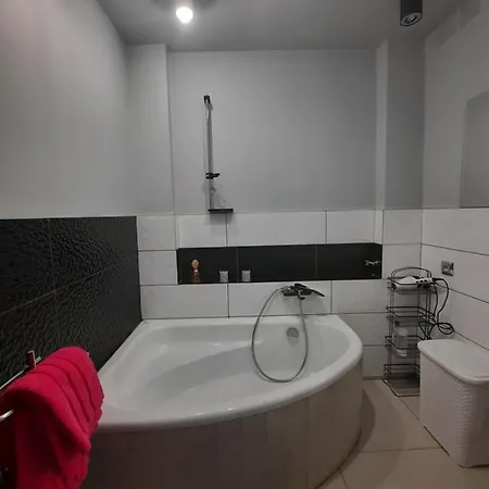 Apartament Zorzy Przy Instytucie Kardiologii Anin Apartament *