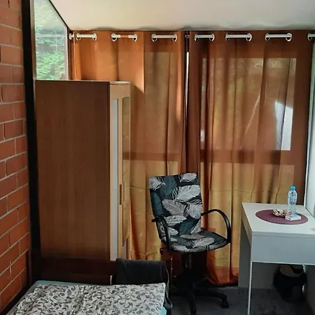 Ochota Forest Guest house *