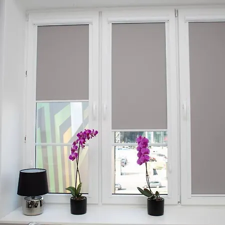 Apartament Alton Aleje 3