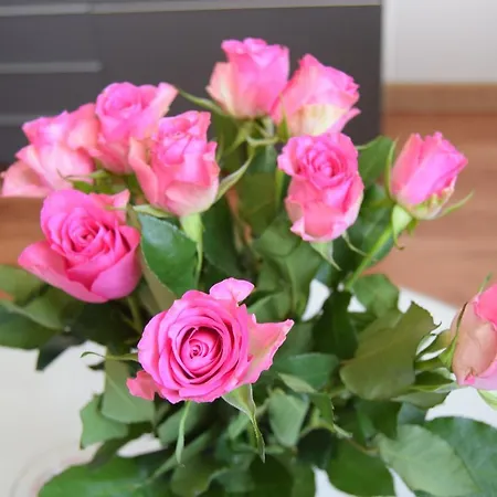 Apartment Be My Guest - Krucza Elegant - Rondo De Gaulle'a Center Of Metro Wi-fi Breakfast Warsaw