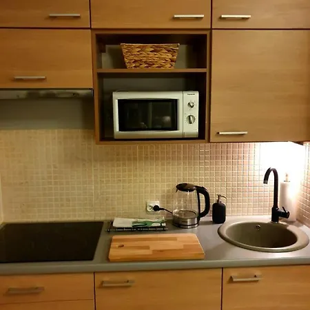 Apartament Vistula *