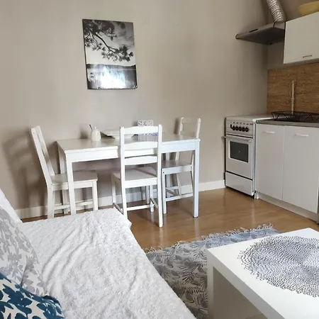 Dwupokojowe Mieszkanie W Centrum