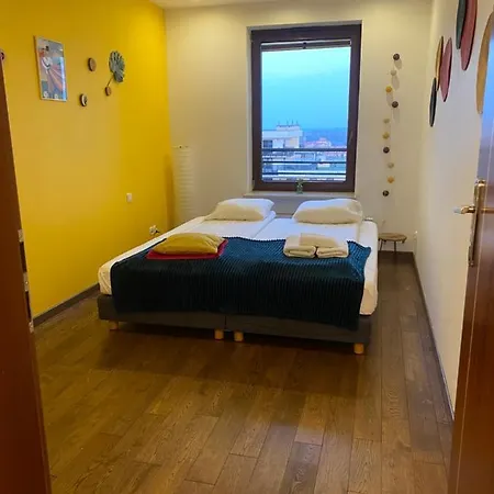 Sunny Life Apartment