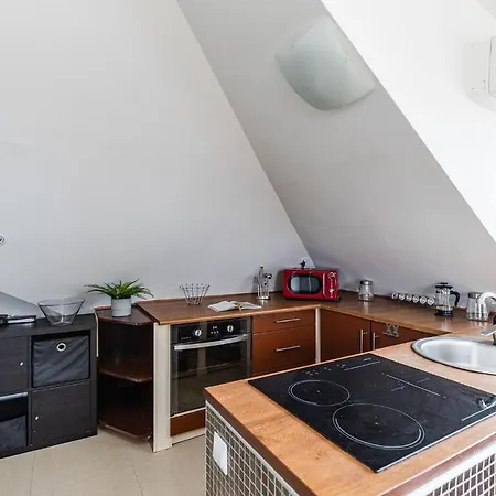 Superapart Zaniemyska 4 *