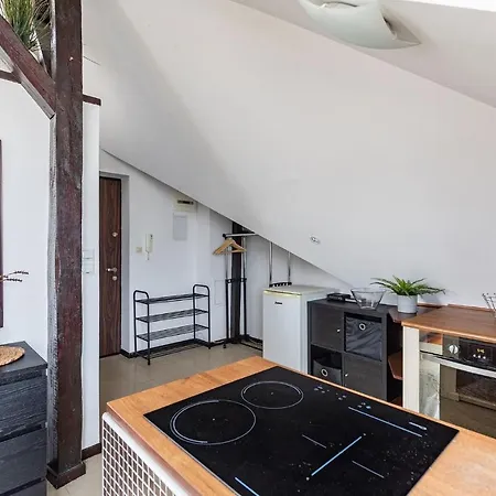 Superapart Zaniemyska 4 Apartament *