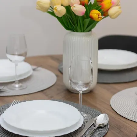 Two-bedroom Elegant With Parking Praga By Renters *