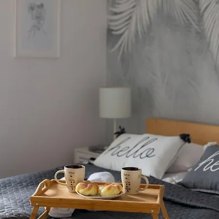 Targowek Pet-friendly With Parking By Renters *