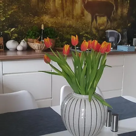 Z Tarasem Przy Parku Apartment *