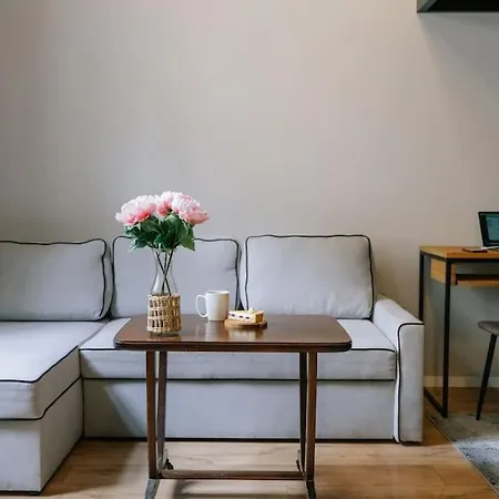 Apartment Brzeska Business By Rentujemy