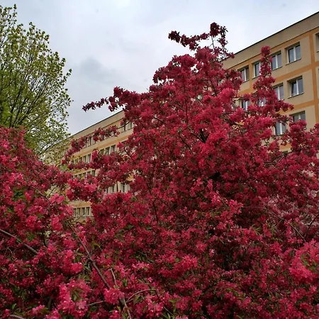 Apartment Szucha 27 - Royal Lazienki Flat