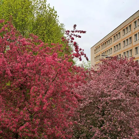 Szucha 27 - Royal Lazienki Flat Apartment *