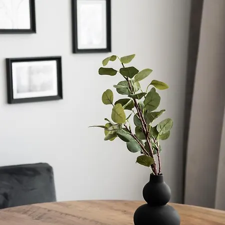 Apartment Bagno City Centre Studio
