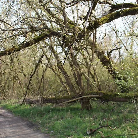 Domek letniskowy Letniskowe
