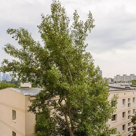 Golden - Cozy And Bright In The Center- Zamenhofa * Warszawa