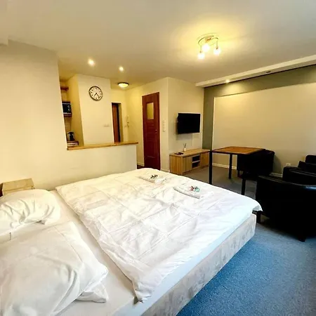 Wifi, Parking W Centrum, Ladne Ul. Anielewicza 25 Apartment Warsaw