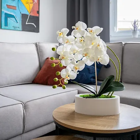 Apartment Good Apartments: Modern Near Bielański Hospital And Awf Warsaw
