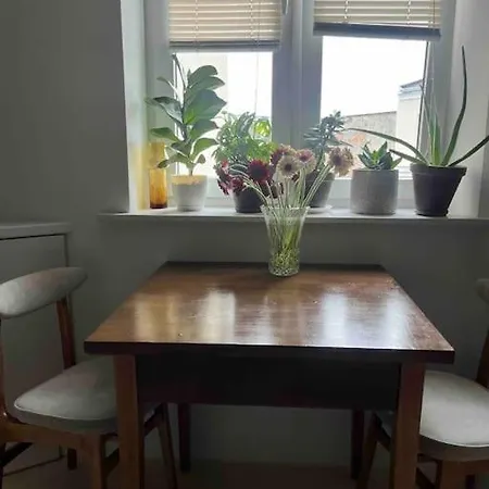 Nowoczesny Apartament Na Pradze-polnoc *