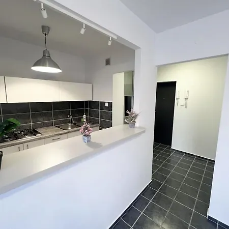 Apartment Cosy Flat Wifi Good Localisation Wolominska