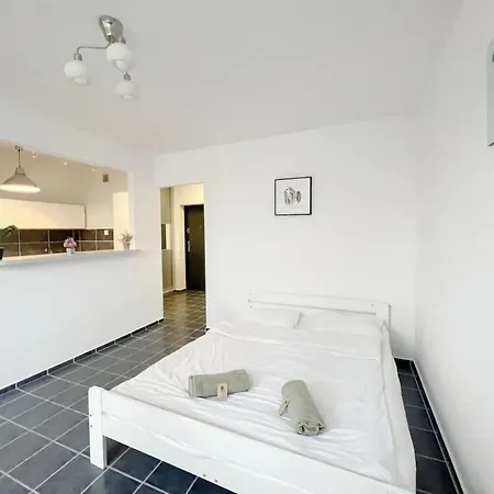 Cosy Flat Wifi Good Localisation Wolominska Apartment
