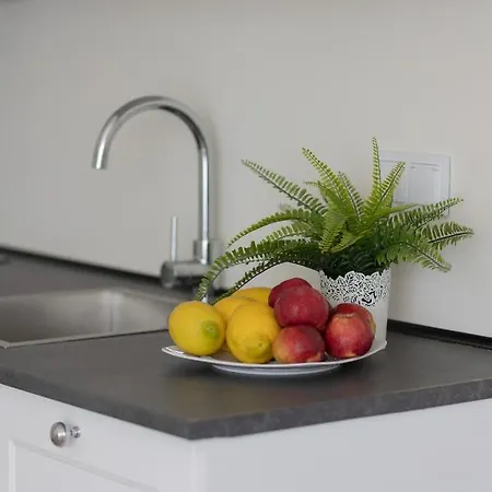 Modern Family With Parking By Renters Apartment