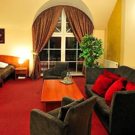 ホテル Zlote Deby 3*