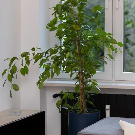 Apartment 10 Min Walk From Palace Of Culture & Science By Renters