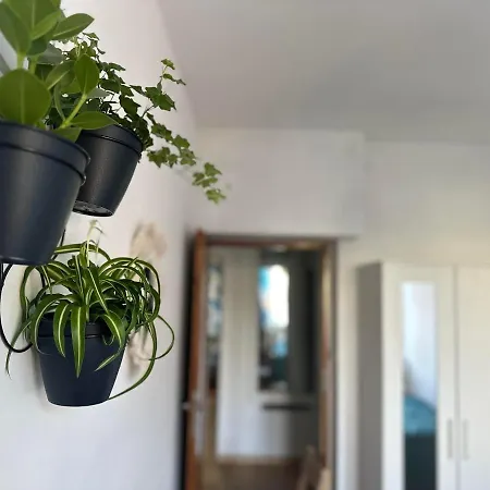 Apartament M&m