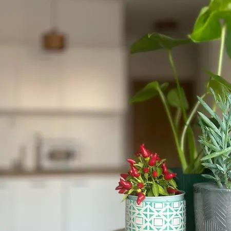 Cosy Okecie Apartment *