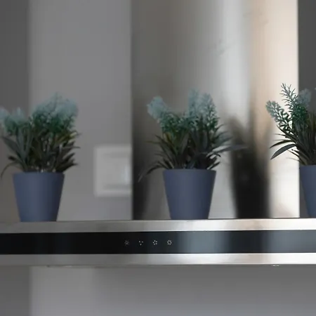 Unique Bright In By Renters Apartment
