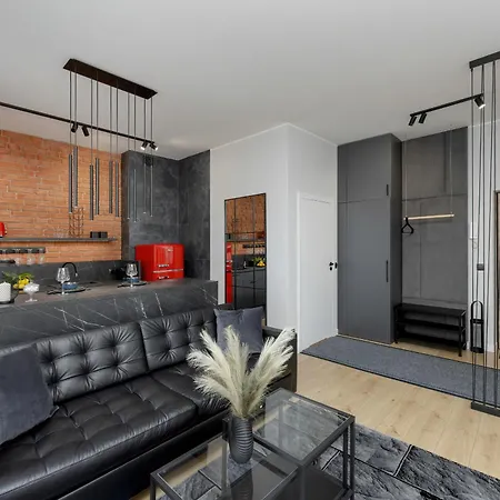 Exclusive Grey And Red In Center By Renters Apartament