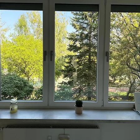 Zolifornia Apartament