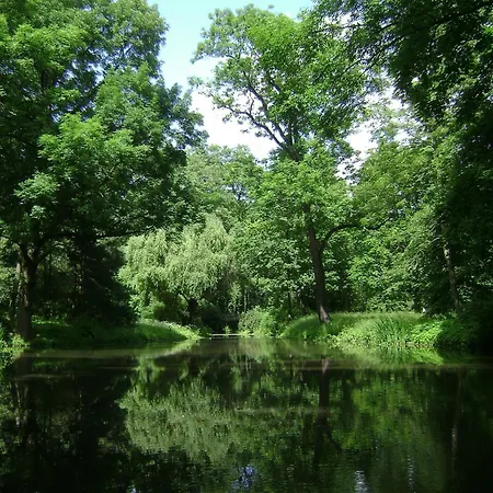 Orla Warsaw