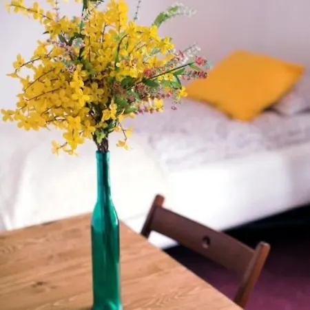 Homestay Abracadabra