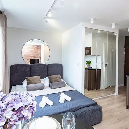 Apartment Mianowskiego 24 Red - Wifi Smart Tv W Pelni Wyposazona Kuchnia
