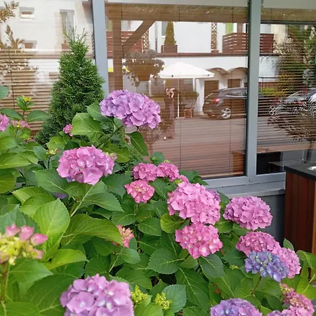 Smart2Stay Magnolia Gasthof Warschau