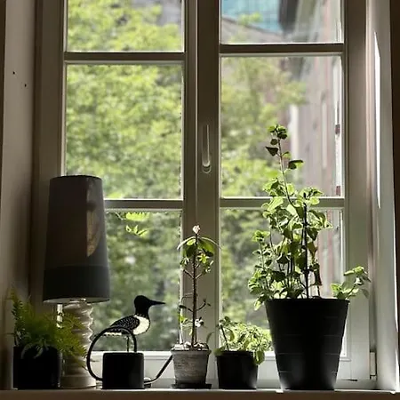 Studio Orient Express Apartament