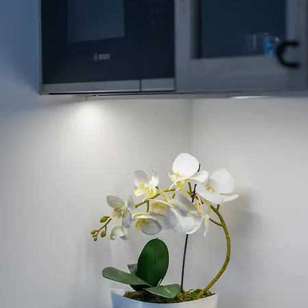 Bright With Parking And Remote Work In Wola By Renters Apartment Warsaw
