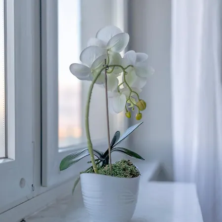 Silversky Altitude - Centrum Apartment *