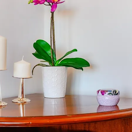 Rent Like Aleje Jerozolimskie 23 Apartment Warsaw
