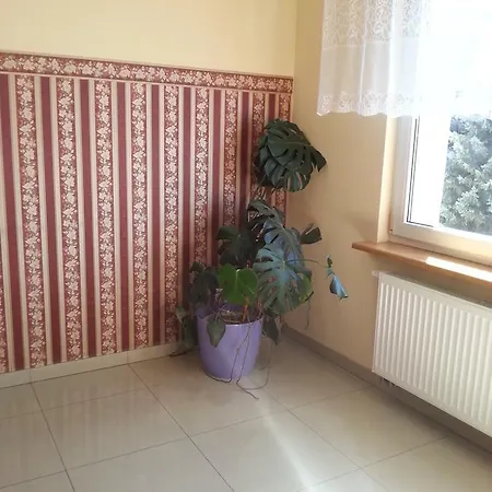 Homestay Henrix *