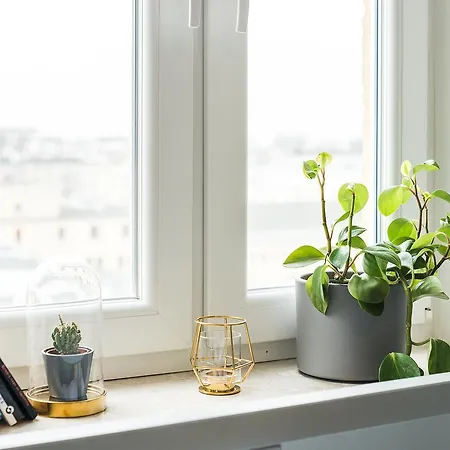 Rent Like Kazimierzowska 71 75 Warszawa