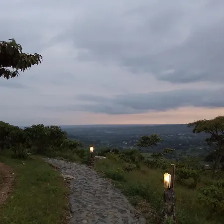 Ngari Hill &