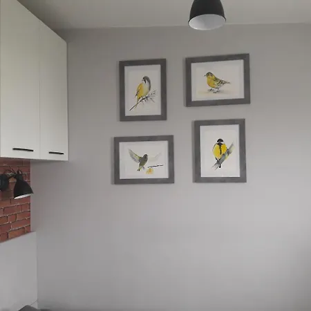 Apartament Orchidea Loft Apartment